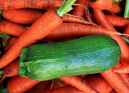 Introduction des légumes