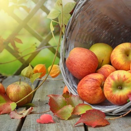 pommes-introduction-fruits